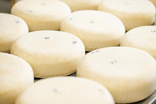 Comment optimiser une ligne de production de fromage?