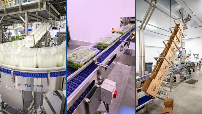 Optimizing a Fresh Salad Packaging Line with a Tailor-Made Automated Solution
