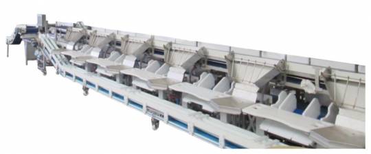 Individualized deboning and cutting line for poultry 168 - Storcan International